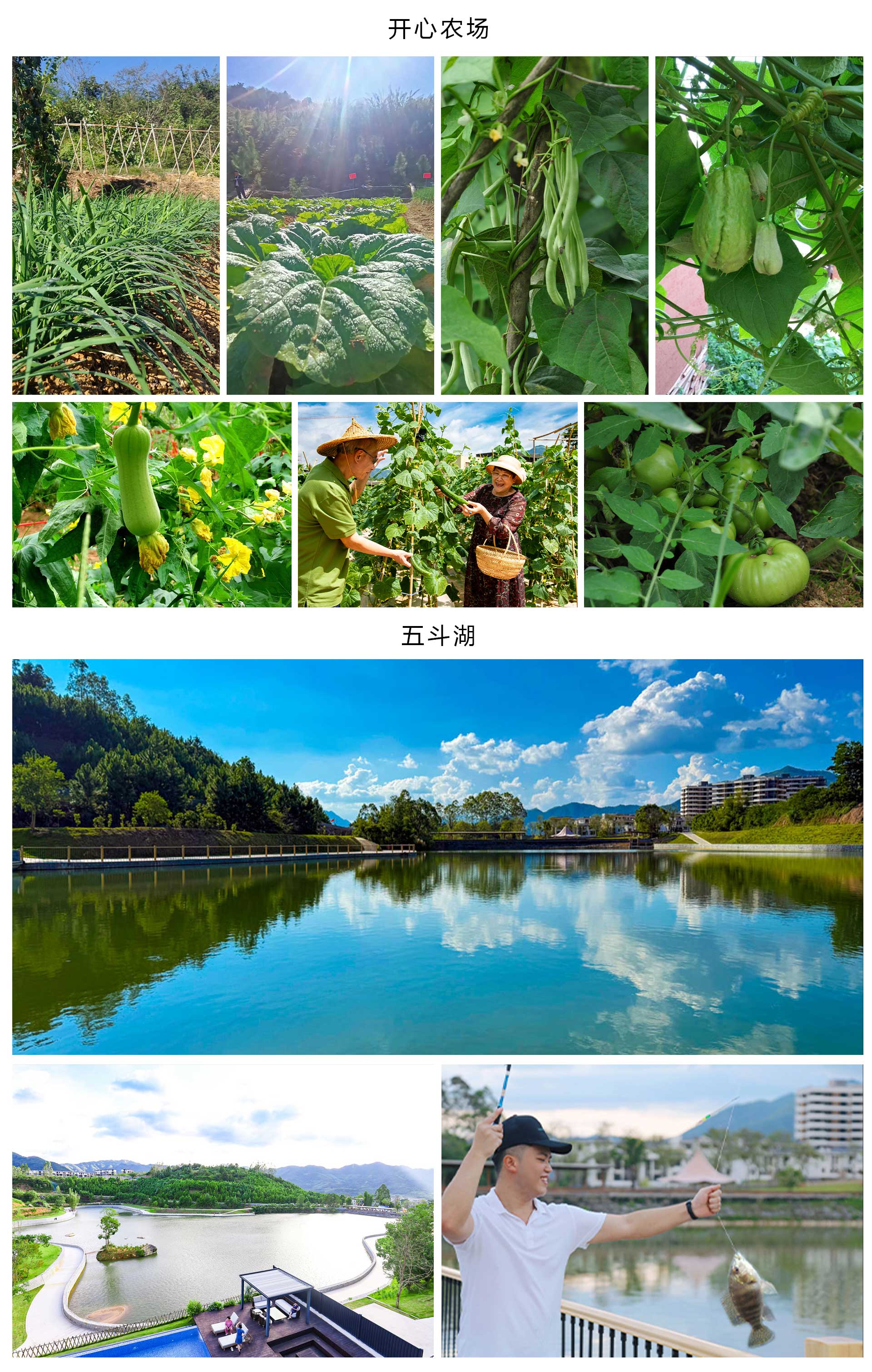 1920-生态菜园.jpg